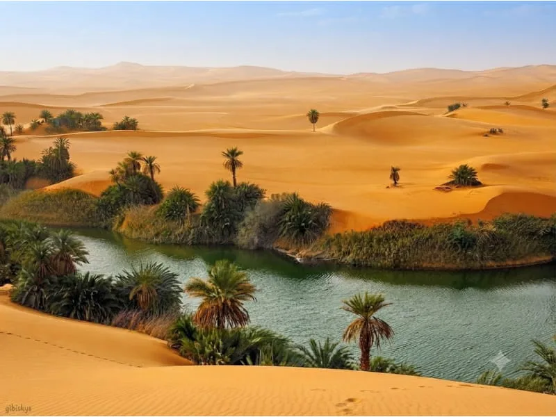 Diện tích Sahara lớn như thế nào?